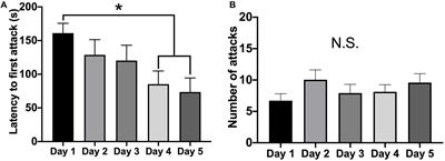 Effect of Aggressive Experience in Female Syrian Hamsters on Glutamate Receptor Expression in the Nucleus Accumbens